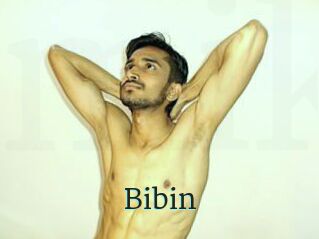 Bibin