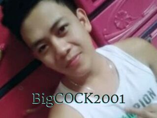 BigCOCK2001