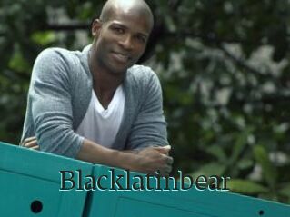 Blacklatinbear