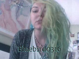 Bluebird0316