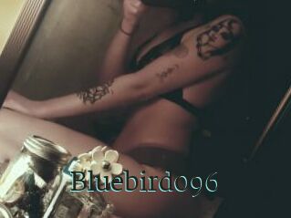 Bluebird096