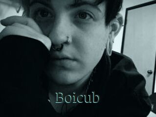 Boicub