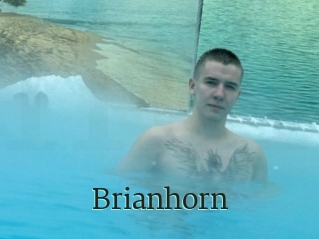 Brianhorn