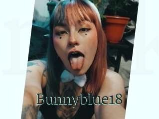 Bunnyblue18