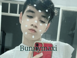 Bunnymaxi