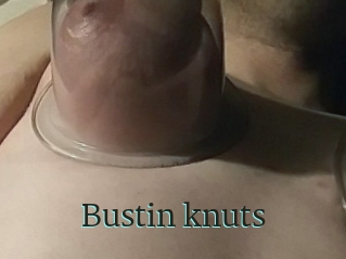 Bustin_knuts