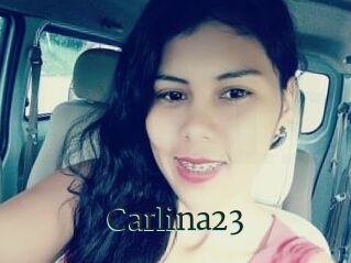 Carlina23