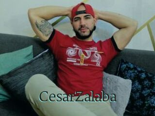 CesarZalaba