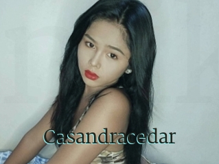 Casandracedar