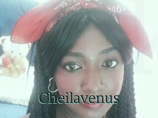 Cheilavenus