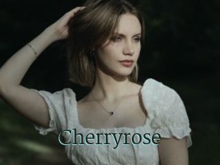 Cherryrose