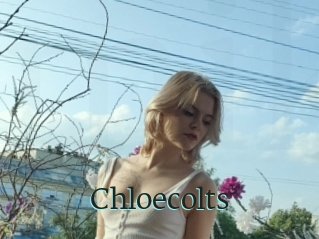 Chloecolts