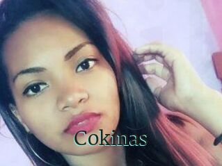 Cokinas