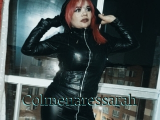 Colmenaressarah