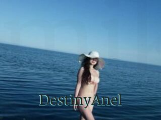 DestinyAnel