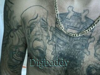 Digbaddy