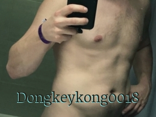 Dongkeykong0018