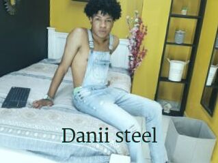 Danii_steel