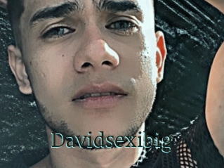 Davidsexibig