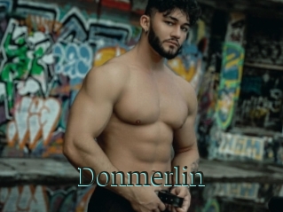 Donmerlin