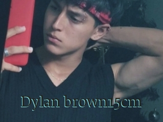 Dylan_brown15cm