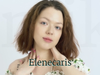 Elenecaris