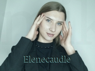 Elenecaudle