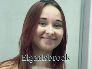 Elgaalsbrook