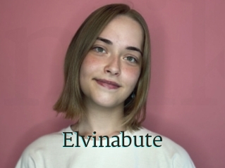 Elvinabute