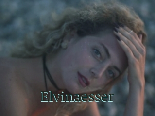 Elvinaesser