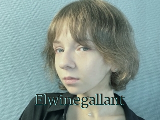 Elwinegallant