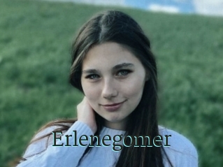 Erlenegomer