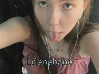 Erlenehane