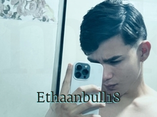 Ethaanbull18