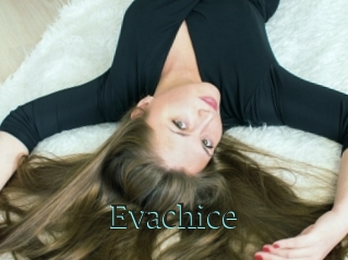 Evachice