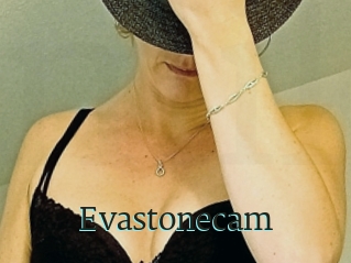 Evastonecam