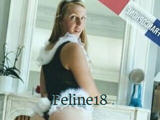 Feline18