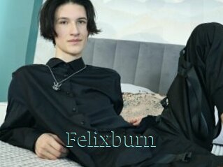 Felixburn