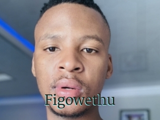 Figowethu