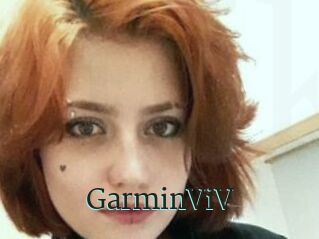 GarminViV