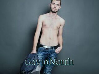 GavinNorth