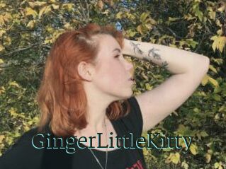 GingerLittleKitty