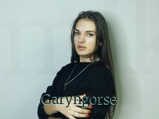 Garyngorse