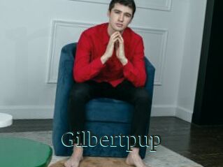 Gilbertpup