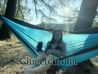 Gingerchronic