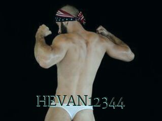 HEVAN12344