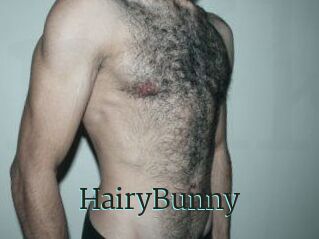 HairyBunny