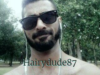 Hairydude87