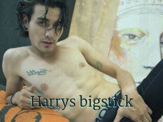 Harrys_bigstick