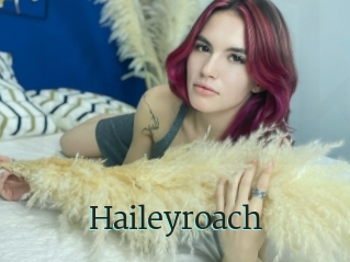 Haileyroach